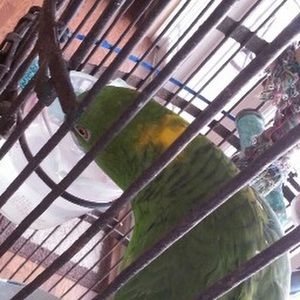 Meet your Posher, Hunter